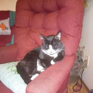 Meet your Posher, Billie